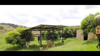 Rwanda taps Chinese expertise for green farming