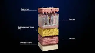 3D #animation showing objects in cross-section as support for training and explainer video creations