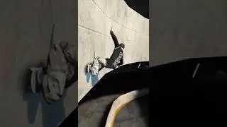 Is This the Best Wallride In Skate 3 #skate3