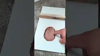 Melhor ninho para CALOPSITA Tutorial faça vc mesmo 😁#ninho #calopsita 