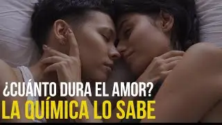 ¿Qué es el AMOR? ¿Es un PROCESO QUÍMICO? ¿Por qué NO ES PARA SIEMPRE?💕🤯