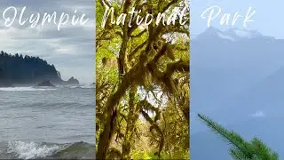 Olympic National Park - The Most Diverse in the USA