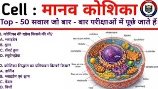 Cell #video #bihardaroga 