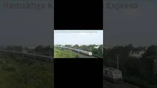 22511 #train #railline #railway #railwaycontent #railwaytrack #shorts