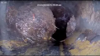Sample Report - Sewer Scope Inspection