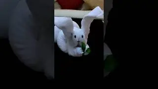 HOW TO MAKE TOWEL  RABBIT | TOWEL ORGAMI.TOWEL ART.