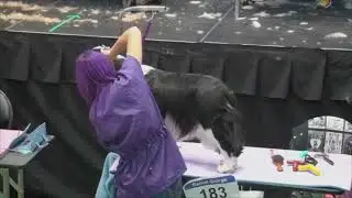 RADAR - New England Grooming - September 26th 2025