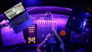 Funky House & Nu Disco Party Vibes | Best Funky Grooves & Party Music | Live DJ Set | Mery Blue