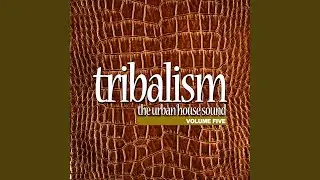 Asian Tribal Beat