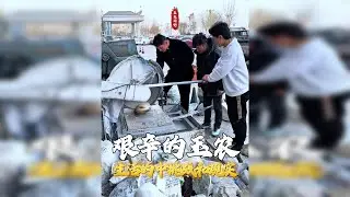 艰辛的玉农生活中的挑战和现实