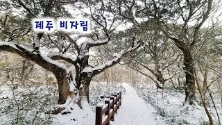 km 20260131 1440p 50f 20260131 183818