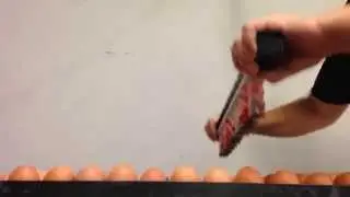 Manual egg flex HF-10