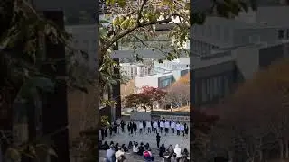 Performance by students in Daejeon University!