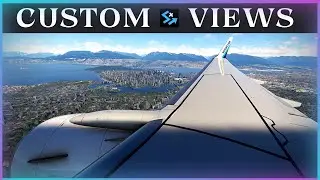 How To Set Custom Wing Views in MSFS
