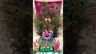 #mor pankh hindola #krishna #2025 # day 26