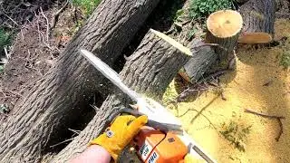 Storm Cleanup and Chainsaw Tips