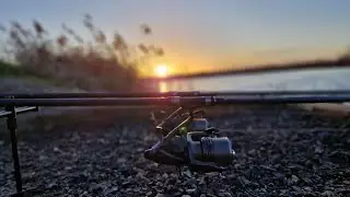 Float Fish Farm - New Year on Kestrel