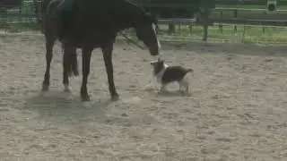 Gerte verloren? Kein Problem!