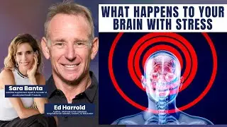 Ed Harrold: What Happens to Your Brain With Stress