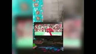 Try Not To Laugh 😂 Funny Cat Videos Compilation | Cute Cats #catvideos #funny #comedy