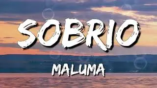 Maluma - Sobrio (Letra\Lyrics)(Loop 1 Hour)