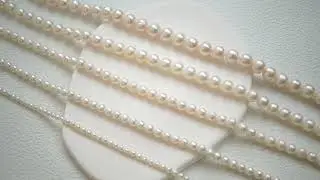 5 Sizes Freshwater Pearl Necklace #pearlnecklace #pearljewellery #pearljewelry