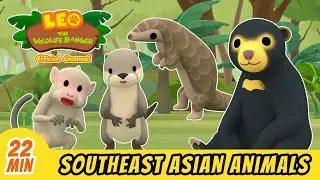 Animals from Southeast Asia Part 1 | Leo the Wildlife Ranger | Animation for Kids