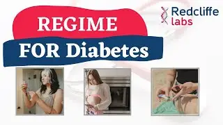 Daily Regime for Diabetic People | Daily Routine for Diabetic Person | Diabetes Meal Planning