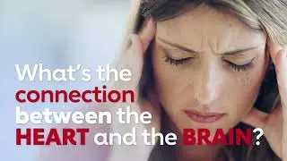 The heart-brain link: what you need to know