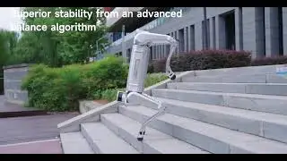 New MagicDog Y1 Robot Dog From MagicLab