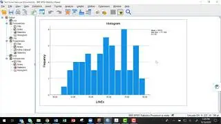 Descriptive Statistics for the Population and Within Groups