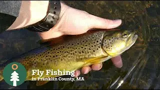 Fly Fishing on the Deerfield River in Franklin County, Massachusetts