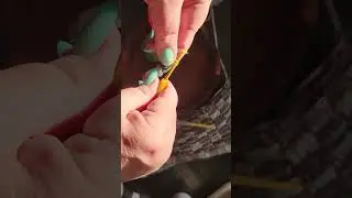No more tangled headphones!