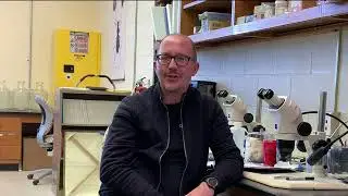 Entomology & Equality with Dr. Don Yee