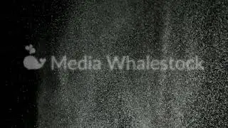 Splash of white powder isolated on black background. Stock footage. Close up for white abstract snow