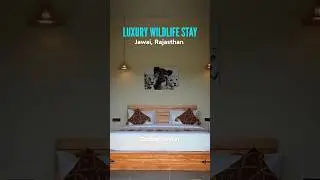Best Resort in Jawai | Jawai Leopard Safari Stay | Jawai Leopard Safari Hotel | Jawai Leopard Safari