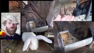 CUM SA FACI HRANITOARI PENTRU IEPURI/ RABBIT, DIN CARE SA NU POATA  DA PE JOS CERIALELE.