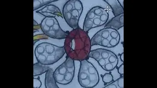 pendent in rhino cad matrix gem tutorial vision for jewelry design  beginners 19 11 17