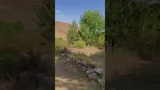 Walking in very relaxed nature of Alasang village, Chak district of Wardak province, Afghanistan