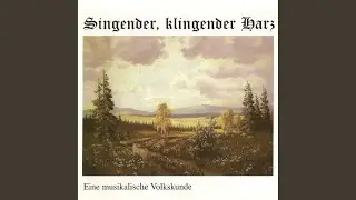 Mannsfelder Kesselflicker
