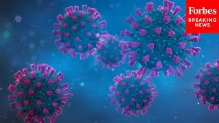 WHO: Covid Pandemic &lsquo;Finish Line&rsquo; In Sight