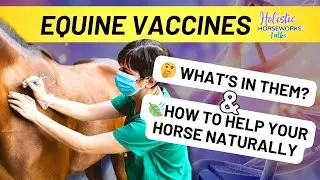 Equine Vaccines: What's In Them and How to Protect Your Horse Naturally | Holistic Horseworks Talks
