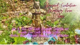 Starseed Mastery Free Class ~ How to Clear Old Earth Soul Contracts & Rewrite w/Goddess Baset