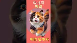 쩨리 빗질하기😁#cat #사랑스러운 #귀여움 #cute #고양이#쩨리