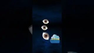 The Eye Covered Whale 😨💀