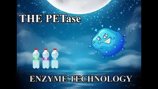 The PETase - Enzyme Technology