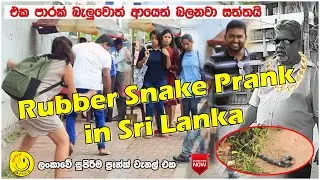 Rubber Snake Prank | රබර් නයා | Prank in Sri Lanka