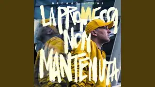 Niente da dirci