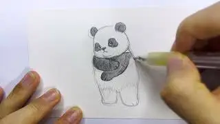 Draw panda Day 124｜pencil sketch