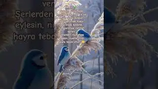 Rabbim bu g&uuml;n&uuml; rahmetiyle kuşatsın, rızkımızı genişletsin,bedenimize şifa, g&ouml;nl&uuml;m&uuml;ze s&uuml;k&ucirc;net versin